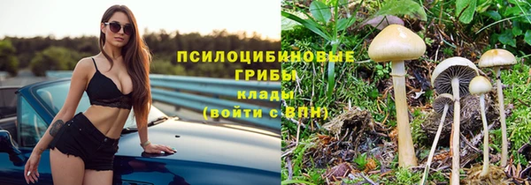мескалин Тутаев
