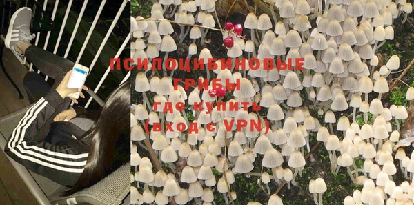 таблы Туринск