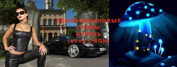 таблы Туринск